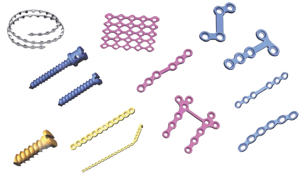 Ortho
